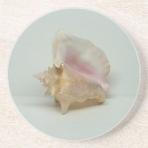 CONCH SHELL coaster