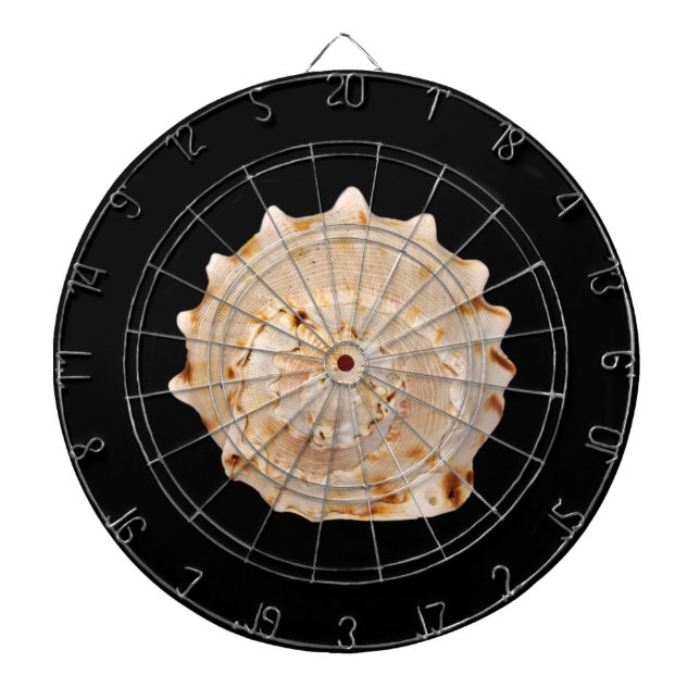 Conch Shell Dart Board (Front)