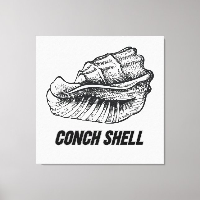 Conch shell design  canvas print (Front)