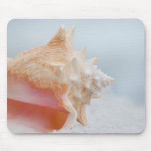 Conch Shell Florida Mouse Mat
