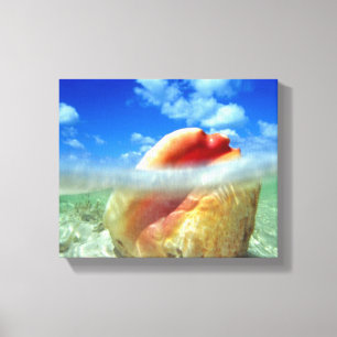 Conch Shell High Tide Canvas Print