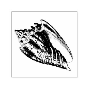 Conch Shell Illustration Self-inking Stamp