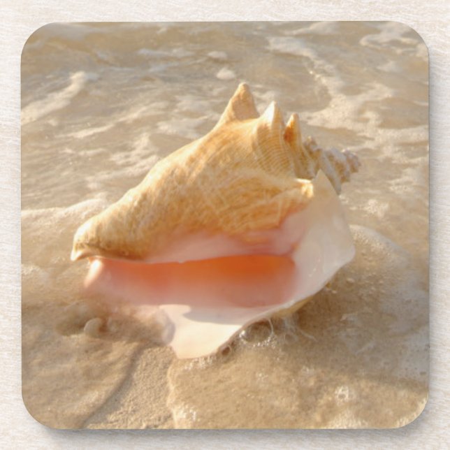 Conch Shell In Sand On Tropical Beach Coaster (Front)