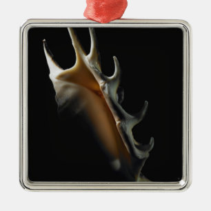Conch shell metal tree decoration
