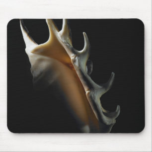 Conch shell mouse mat
