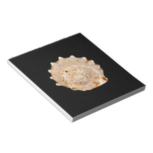 Conch Shell Notepad