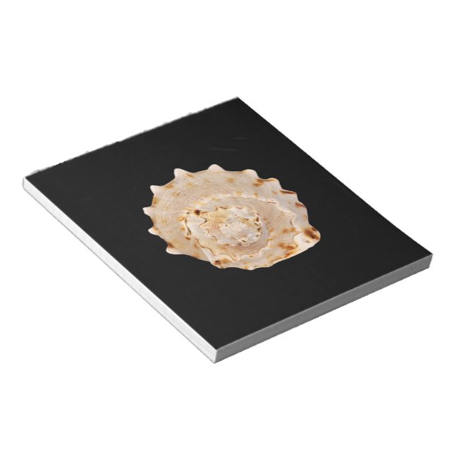 Conch Shell Notepad (Angled)