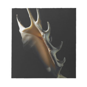 Conch shell notepad
