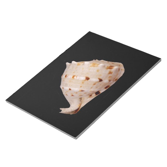 Conch Shell Notepad (Angled)