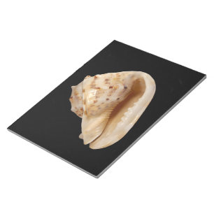 Conch Shell Notepad