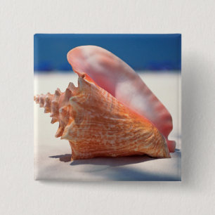 Conch Shell On Beach 2 15 Cm Square Badge