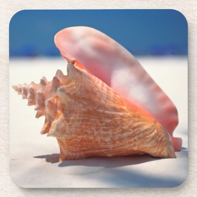 Conch Shell On Beach 2 Coaster (Front)