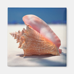 Conch Shell On Beach 2 Magnet