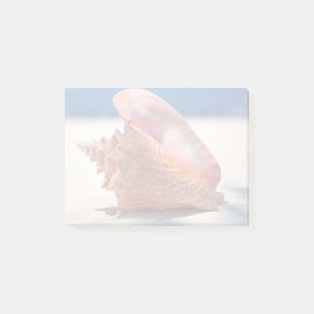 Conch Shell On Beach 2 Post-it Notes (Front)