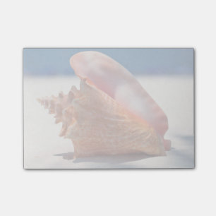 Conch Shell On Beach 2 Post-it Notes