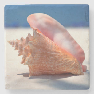 Conch Shell On Beach 2 Stone Coaster