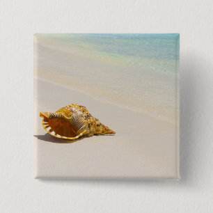Conch Shell On Beach 3 15 Cm Square Badge