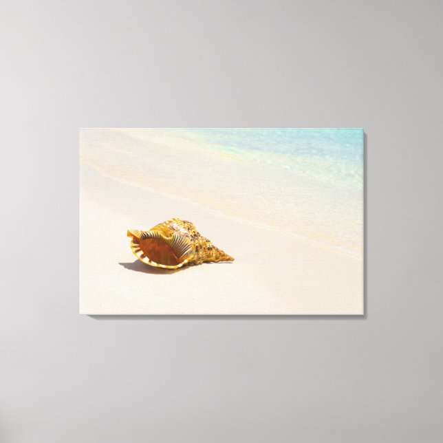 Conch Shell On Beach 3 Canvas Print (Front)