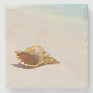 Conch Shell On Beach 3 Stone Coaster