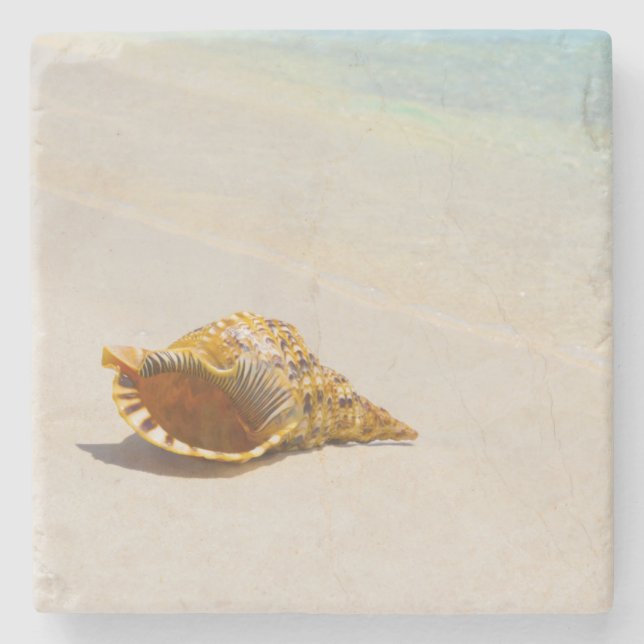 Conch Shell On Beach 3 Stone Coaster (Front)