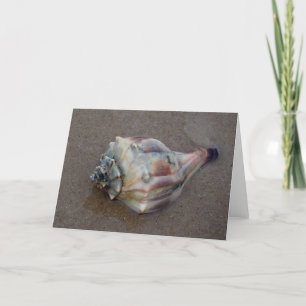 Conch Shell on Beach Thank You Card