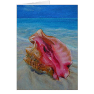 conch shell on shore