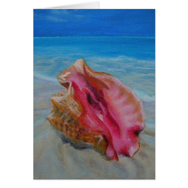 conch shell on shore (Front)