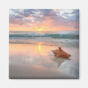 Conch Shell on the Beach   Jamaica Magnet