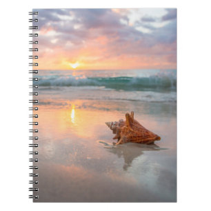 Conch Shell on the Beach   Jamaica Notebook