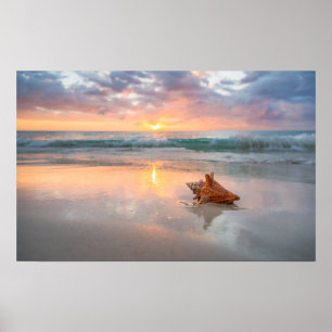 Conch Shell on the Beach   Jamaica Poster