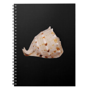 Conch Shell Photo Notebook