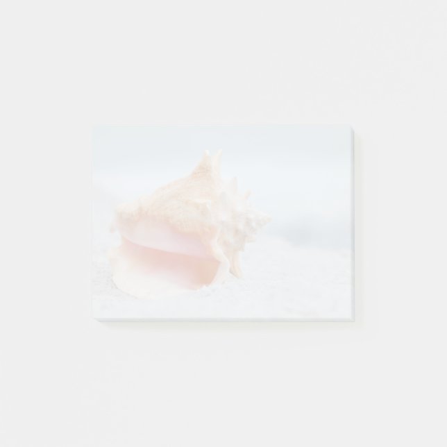 Conch Shell Post-it Notes (Front)