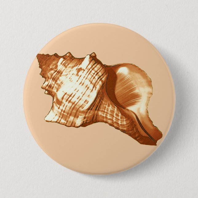 Conch shell sketch - brown, white and tan 7.5 cm round badge (Front)