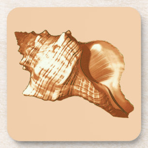 Conch shell sketch - brown, white and tan coaster