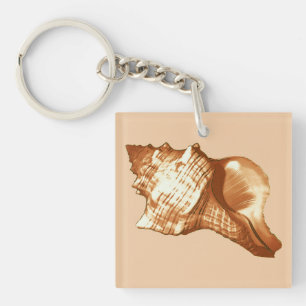 Conch shell sketch - brown, white and tan key ring