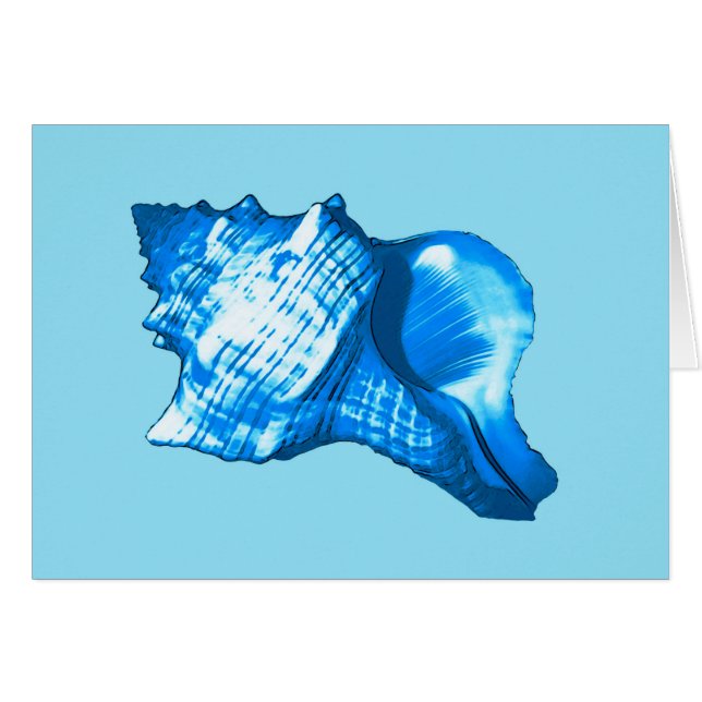 Conch shell sketch - cobalt and sky blue (Front Horizontal)
