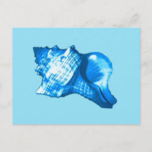 Conch shell sketch - cobalt and sky blue postcard