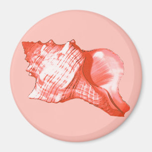 Conch shell sketch - coral, shell pink and white magnet