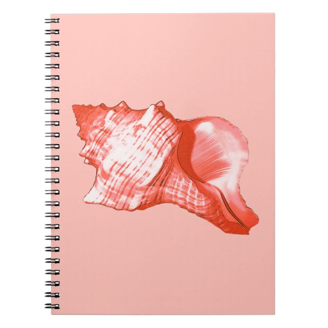 Conch shell sketch - coral, shell pink and white notebook (Front)