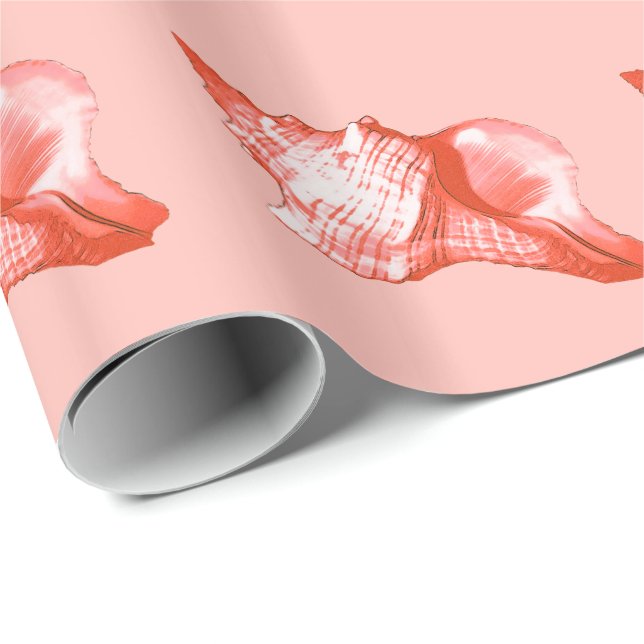 Conch shell sketch - coral, shell pink and white wrapping paper (Roll Corner)