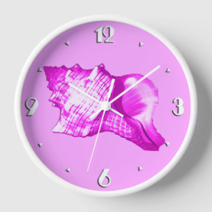 Conch shell sketch - shades of orchid and white clock