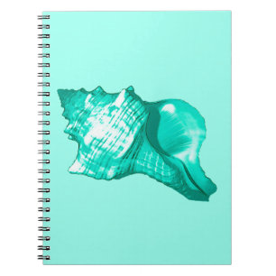 Conch shell sketch - turquoise, white and aqua notebook