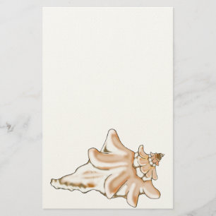 Conch Shell Stationery