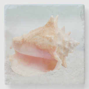 Conch Shell Stone Coaster