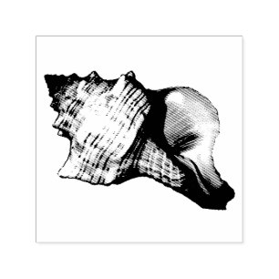 Conch Shell Vintage Illustration Self-inking Stamp