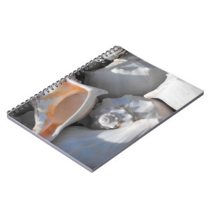 Conch Shells Closeup Notebook