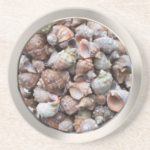 Conch shells coaster