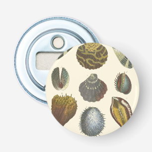 Conchology Collection Bottle Opener