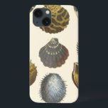 Conchology Collection iPhone 13 Case<br><div class="desc">If you can't get to the beach today, get this classic style image of this unique image of sea life by Albertus Seba! Imagine yourself on a beach discovering Sea anemones that nature has to offer. These seashells and sea plants by the ocean is surrounded by warm sand in this...</div>