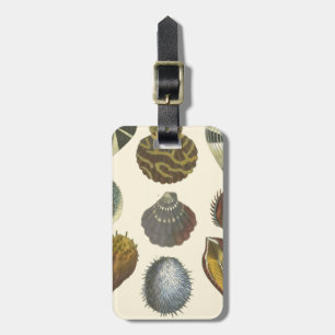 Conchology Collection Luggage Tag